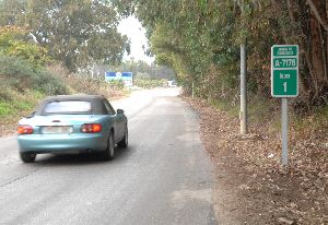 PROYECTO. Un vehículo circula por la carretera que une Marbella e Istán. / JOSELE-LANZA