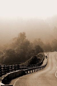 'JUNTOS'. La imagen galardonada de Paco Ruiz.