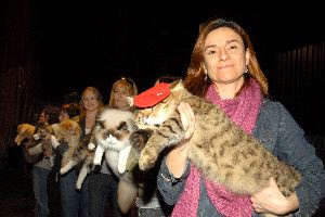 DESFILE. Los candidatos posaron así de naturales ante el público, antes del concurso.