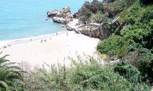 La Policía Local desmantela un nuevo asentamiento ilegal de 'hippies' en la playa de Carabeillo