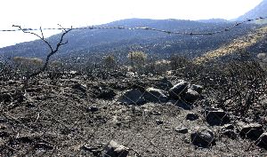 DESOLADOR. Imagen tomada ayer en el paraje arrasado por las llamas en el monte de La Peña. / ANDRÉS CARRASCO