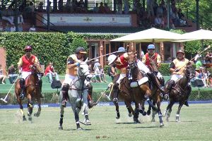 CONTINUIDAD. La más importante competición de polo del verano, la Copa Oro, sigue adelante. / SUR