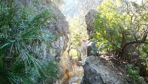 BENAHAVÍS. La acequia tenía bastante agua y obligó a los excursionistas a mojarse los pies o andar por el borde. / J. L. CASADO- J. A. GÓMEZ