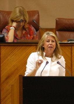 Ángeles Muñoz, durante su intervención de ayer.. /ELISA ARROYO