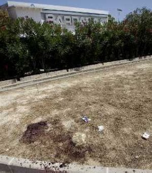 Sangre y un mechón de pelo de la víctima, Nora Talens.