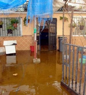 El temporal se ceba con la comarca