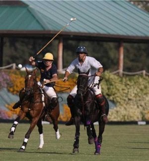 La bocha comienza a rodar, un año más, en las instalaciones del Santa María Polo Club. ::
SALVADOR MORENO