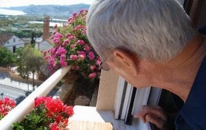El alemán Hermann Bartels observa desde la ventana de su dormitorio en Nerja el nido de cernícalos primilla con el que convive. ::                             E.                             CABEZAS