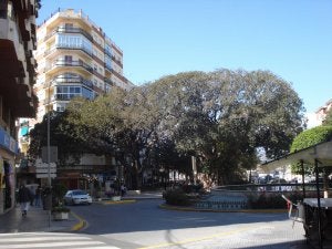 Los ficus situados a la entrada y salida del Parque Andalucía, que tienen más de 100 años, son todo un símbolo para la ciudad. ::
A. P.