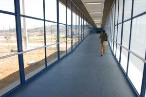 PRISIONES. Problemas de salubridad en la cárcel algecireña. ::
SUR