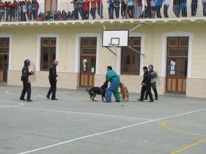 Imagen de la exhibición canina que ayer se organizó en el colegio La Salle-El Carmen. ::
SUR