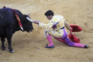 Francisco Rivera Ordóñez 'Paquirri', en un desplante con la rodilla genuflexa. ::                             IGOR AIZPURU