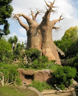 Un gran escenario verde
