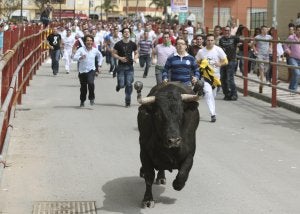 Los Barrios celebra el Toro Embolao