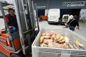 Paco López colabora con Bancosol en el almacenaje de alimentos en el local           que la ONG tiene en Mercamálaga. ::                             ÁLVARO CABRERA
