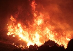 Las llamas han afectado a 361 hectáreas forestales y a otras tantas del tipo denominado interfase, donde confluyen áreas urbanas y boscosas. ::                             ANTONIO SALAS