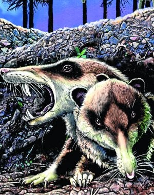 Recreación de una pareja de la nueva especie. A la izquierda, la ardilla con dientes de sable de 'Ice Age'. :: JORGE GONZÁLEZ