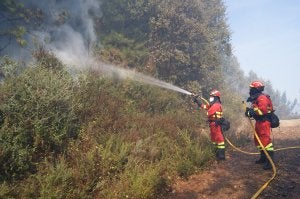 El fuego y el viento se alían y arrasan 500 hectáreas en Sierra Bermeja y el Genal