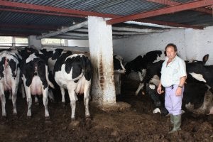 Los últimos vaqueros de Málaga