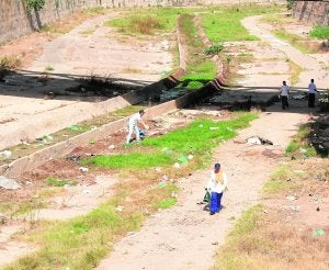 Río de Oro, una de las zonas incluidas en la nueva planificación. ::
SUR
