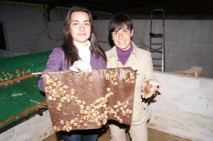 Del paro a la cría de caracoles