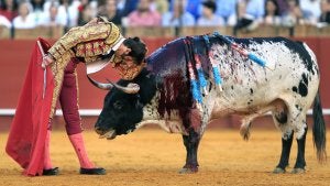 Padilla, en un desplante a uno de los toros de la tarde. ::
J. M. VIDAL. EFE