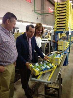 Una cooperativa de Antequera convierte la exportación del espárrago en clave de éxito