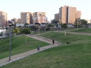 Los residentes piden árboles más frondosos. ::
FERNANDO GONZÁLEZ