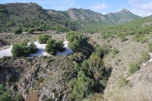 El Supremo desautoriza a la Junta y da vía libre al campo de golf de Nerja