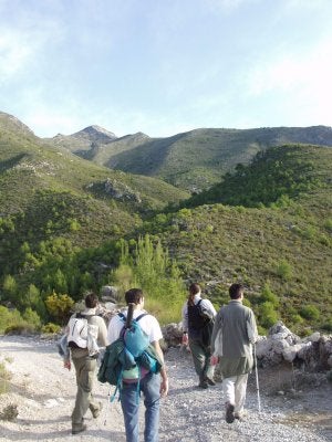 Ruta hacia la 'cumbre del alto', en la sierra de Almijara. ::
J. A.