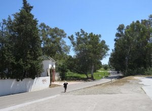 La parcela se ubica en la carretera de Istán. :: Josele-Lanza