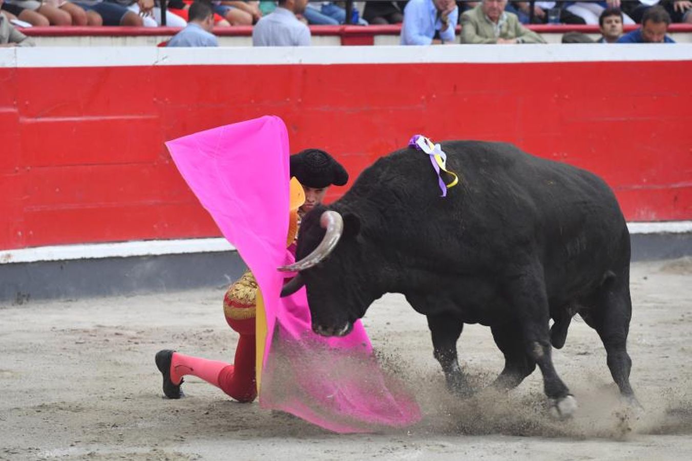 Oreja para &#039;Paulita&#039; en la última corrida de Azpeitia