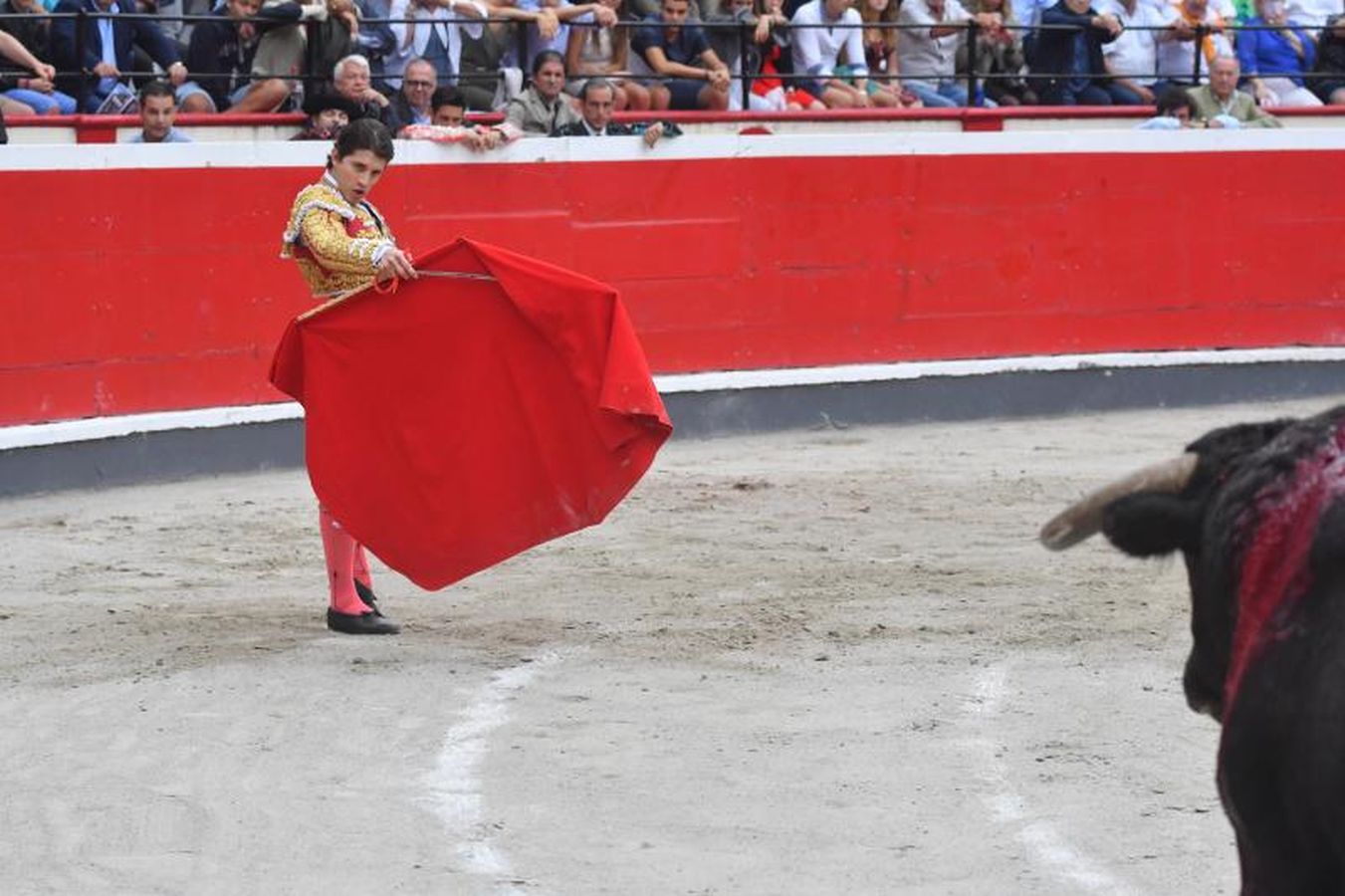 Oreja para &#039;Paulita&#039; en la última corrida de Azpeitia