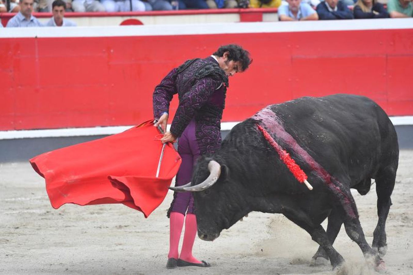 Oreja para &#039;Paulita&#039; en la última corrida de Azpeitia