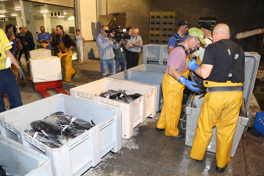 Desde el inicio de la actual campaña se ha superado en los puertos vascos la barrera de las 1.500 toneladas, el 85% Eusko Label, con un precio medio de venta en lonja de 4,30 euros.. La consejera Arantxa Tapia señala en Getaria que se confirman las previsiones moderadamente optimistas realizadas al inicio de la campaña