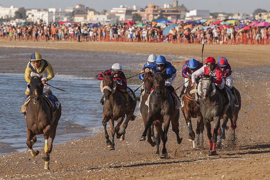 Se ha celebrado la 172 edición de las Carreras de Caballos de Sanlúcar de Barrameda. Cientos de personas se acercaron a admirar el acto, declarado de Interés Turístico Internacional, llenando la playa y los palcos. 