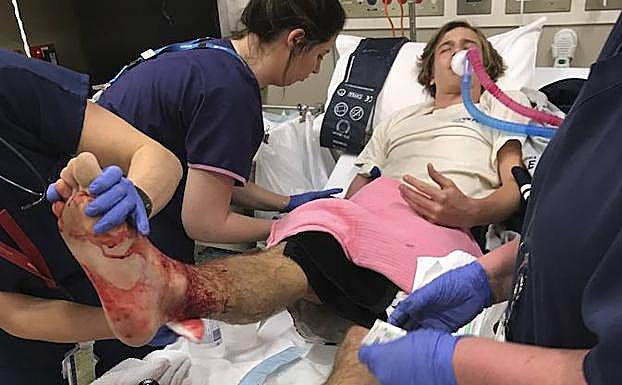 Nuevas criaturas marinas que comen carne humana