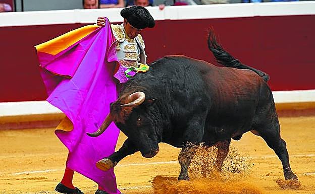 Joselito Adame recibe y controla la noble furia de ‘Puntonero’ con el pase más clásico de la capa, la verónica. 