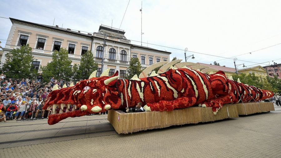 Debrecen, en Hungria, celebra la 48 edición del Festival de Flores, tradición que data de 1966 y que llena de carrozas, flores y espectáculos toda la ciudad, 
