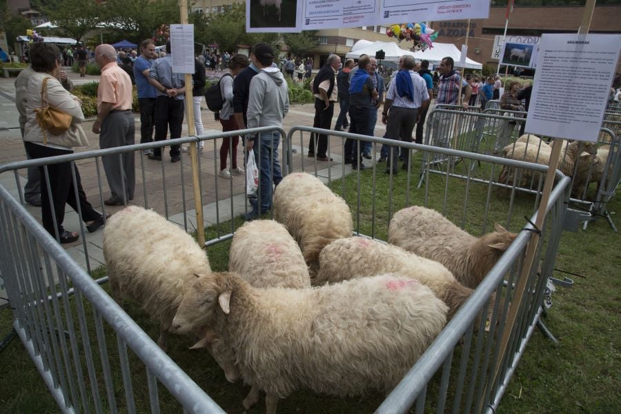 La edición de este año del Artzain eguna de Legazpi ha sido la más multitudinaria ya que ha contado con más de 400 pastores y familiares de la asociación Euskal Ar-tzainak Ameriketan (dentro de la que se aglutinan aquellos vascos que tuvieron que emigrar a América para desempeñar el oficio).