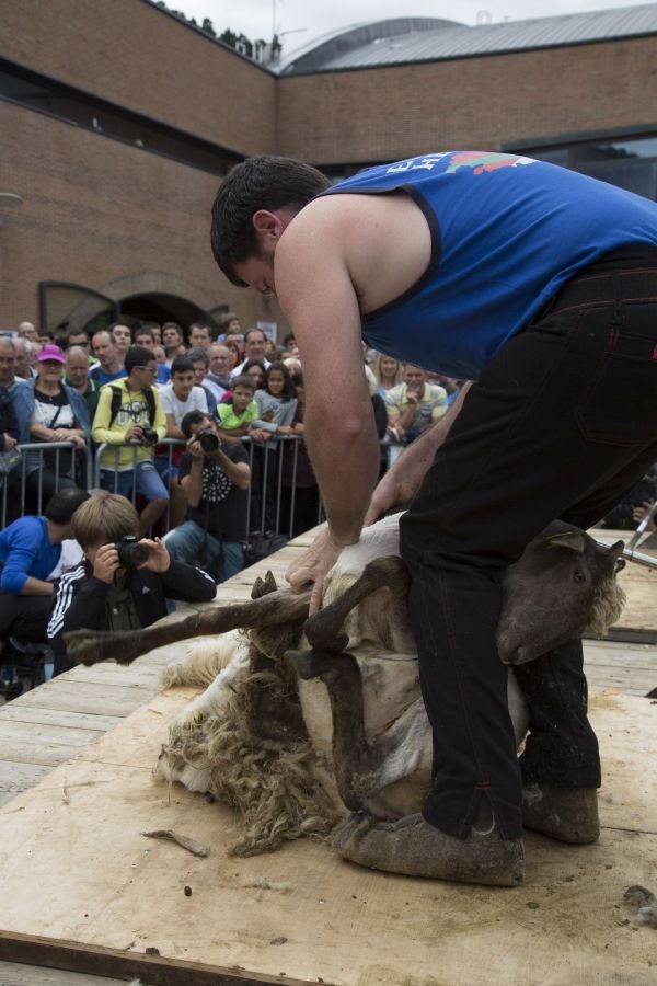 La edición de este año del Artzain eguna de Legazpi ha sido la más multitudinaria ya que ha contado con más de 400 pastores y familiares de la asociación Euskal Ar-tzainak Ameriketan (dentro de la que se aglutinan aquellos vascos que tuvieron que emigrar a América para desempeñar el oficio).