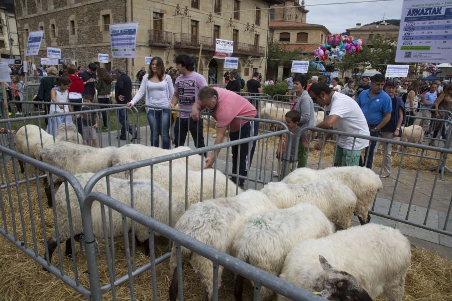 La edición de este año del Artzain eguna de Legazpi ha sido la más multitudinaria ya que ha contado con más de 400 pastores y familiares de la asociación Euskal Ar-tzainak Ameriketan (dentro de la que se aglutinan aquellos vascos que tuvieron que emigrar a América para desempeñar el oficio).