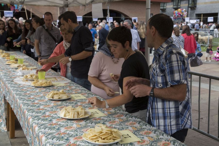 La edición de este año del Artzain eguna de Legazpi ha sido la más multitudinaria ya que ha contado con más de 400 pastores y familiares de la asociación Euskal Ar-tzainak Ameriketan (dentro de la que se aglutinan aquellos vascos que tuvieron que emigrar a América para desempeñar el oficio).