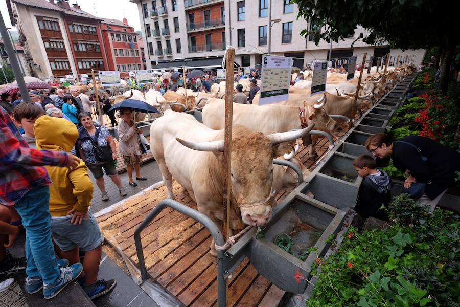 El Concurso de Queso de Pastor es el evento principal de la Feria extraordinaria. 