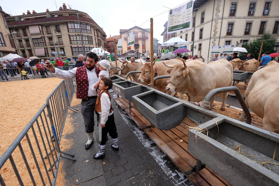 El Concurso de Queso de Pastor es el evento principal de la Feria extraordinaria. 