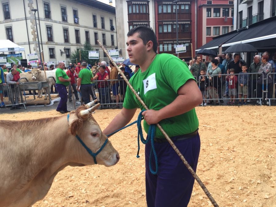 El Concurso de Queso de Pastor es el evento principal de la Feria extraordinaria. 
