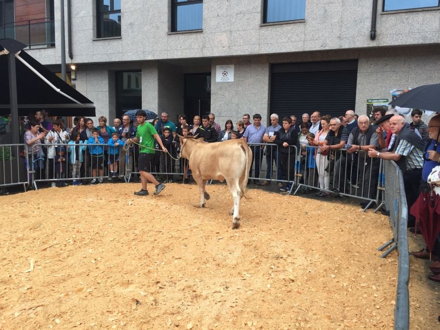 El Concurso de Queso de Pastor es el evento principal de la Feria extraordinaria. 