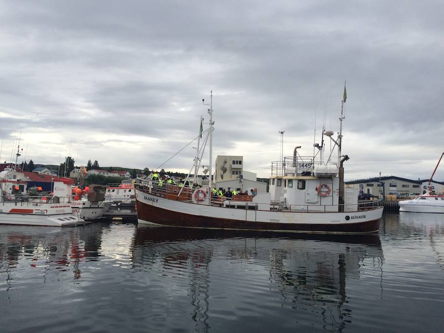 Húsavíck es una ciudad marinera al norte de Islandia y es conocida por ser el centro de avistamiento de ballenas.