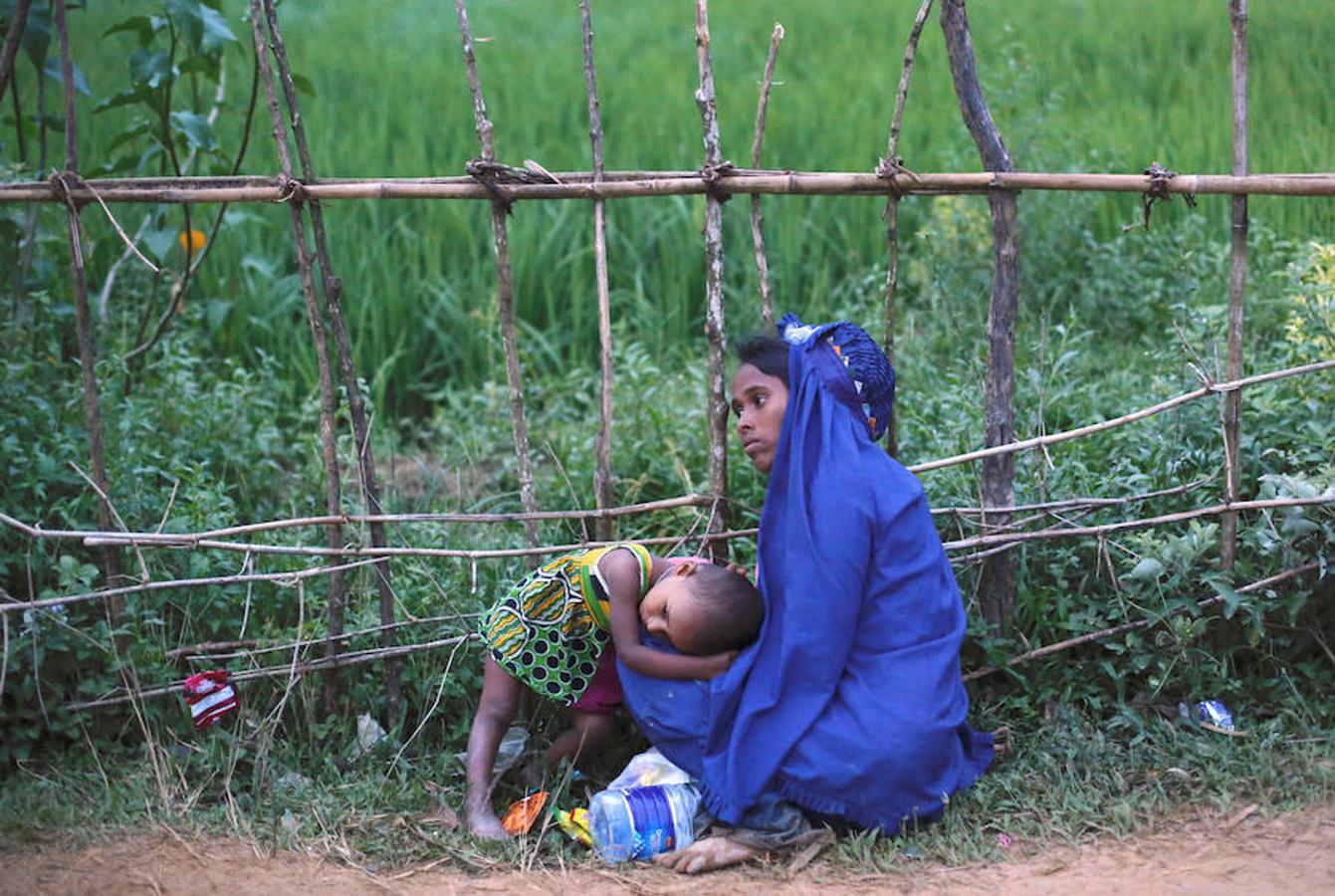 Más de 420.000 refugiados han llegado a Bangladés huyendo de la persecución por parte del ejércido de Myanmar sumergidos en el hambre, las enfermedades y la violencia. Son los rohinyá, una minoria musulmana que pertenece a un país de mayoria budista. La mayor parte de los refugiados son niños que llegan desacompañados y mujeres.
