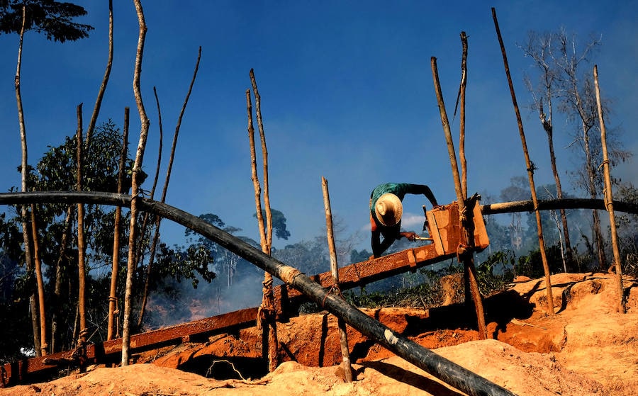 Son unos mineros que abundan en Brasil en la selva del Amazonas. Viven en condiciones infrahumanas y arriesgan su vida al utilizar máquinas como los monitores hidráulicos en búsqueda de mercurio, como sustancia para amalgamar el oro. Un uso que daña gravemente el medio ambiente.